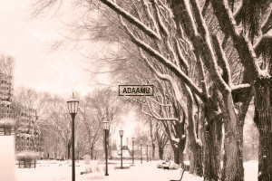 热血沸腾!全球电竞战队积分榜激战正酣,谁能登顶王座 热血沸腾!全球电竞战队积分榜激战正酣,谁能登顶王座